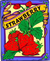 Poteet, Texas Strawberries Strawberry Festival 